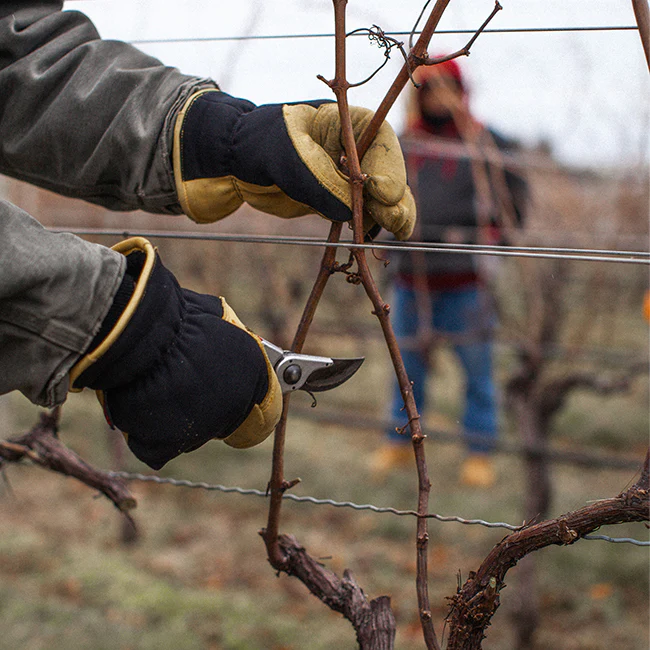 Wintertime Tasting Room Staff Training