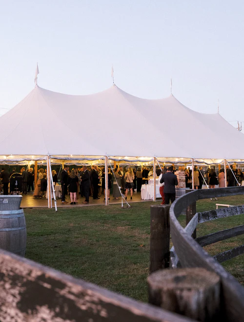 wedding party at the vineyard RG|NY