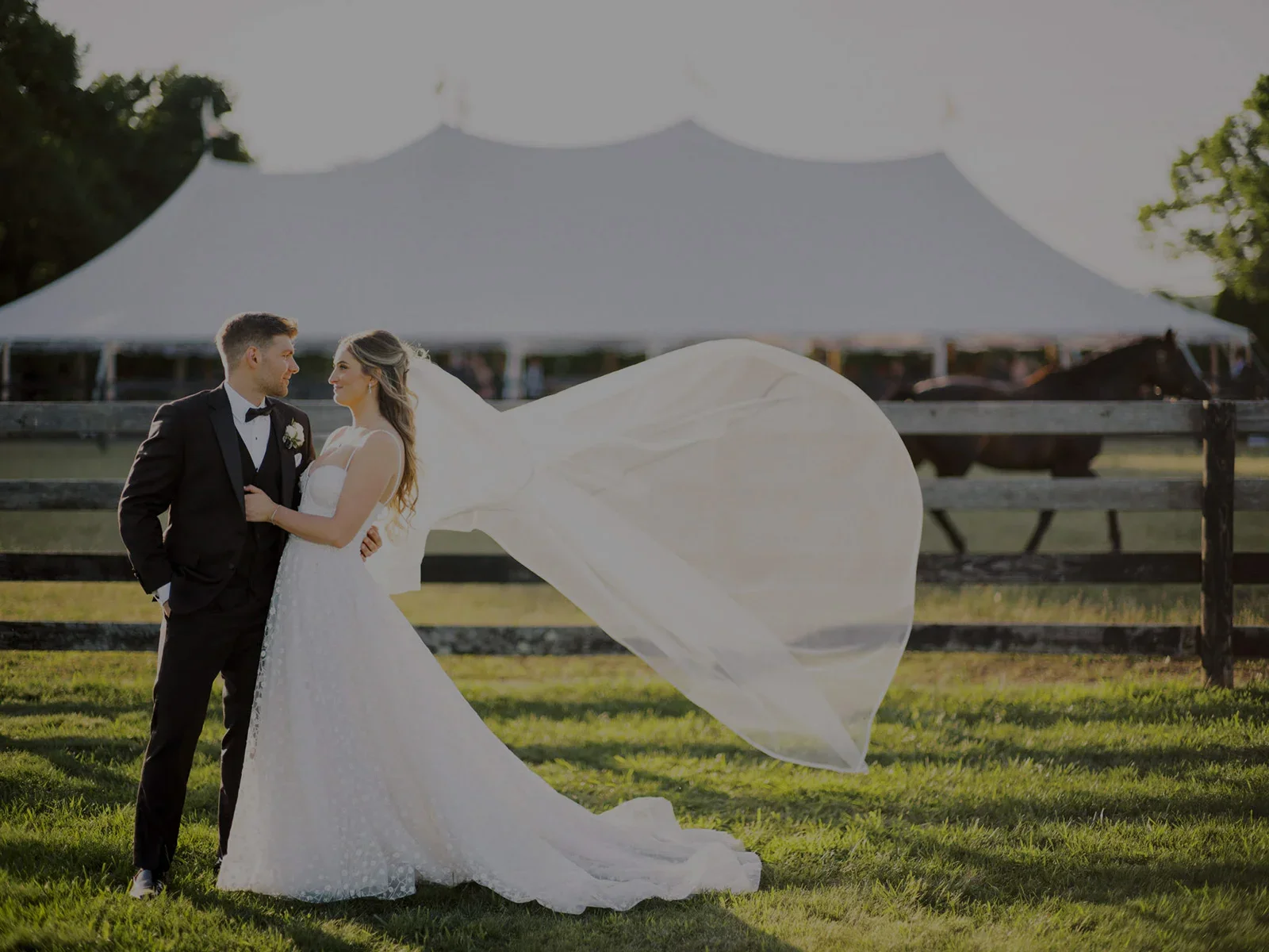 a bride and groom posing for a picture