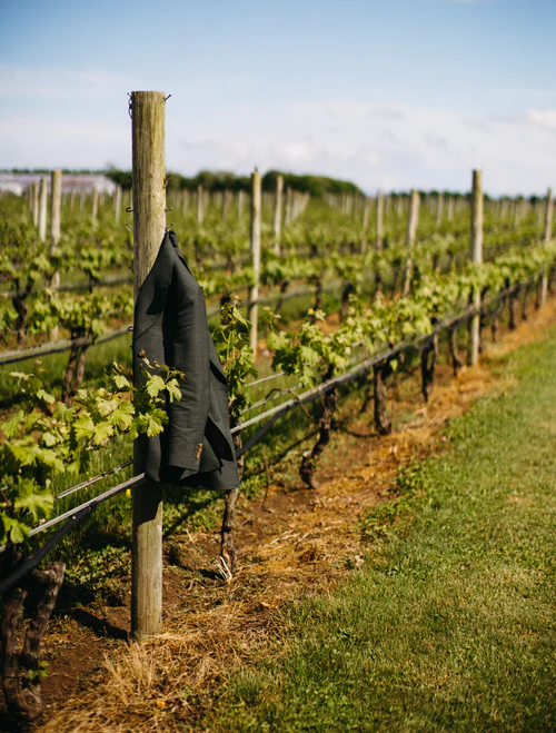 the groom left his coat at the vineyard RG|NY