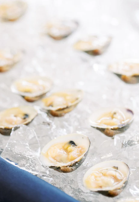 oysters on top of ice RG|NY