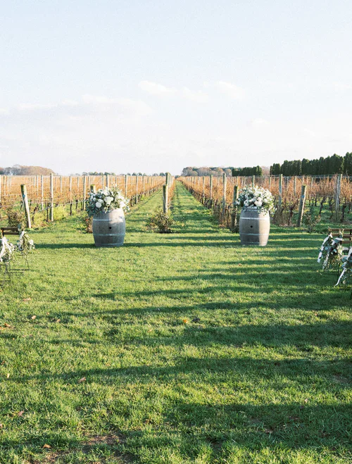 a vineyard in the afternoon RG|NY