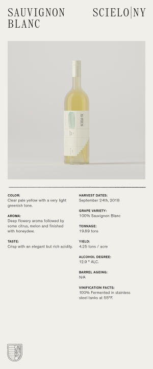 Scielo Sauvignon Blanc full tech sheet