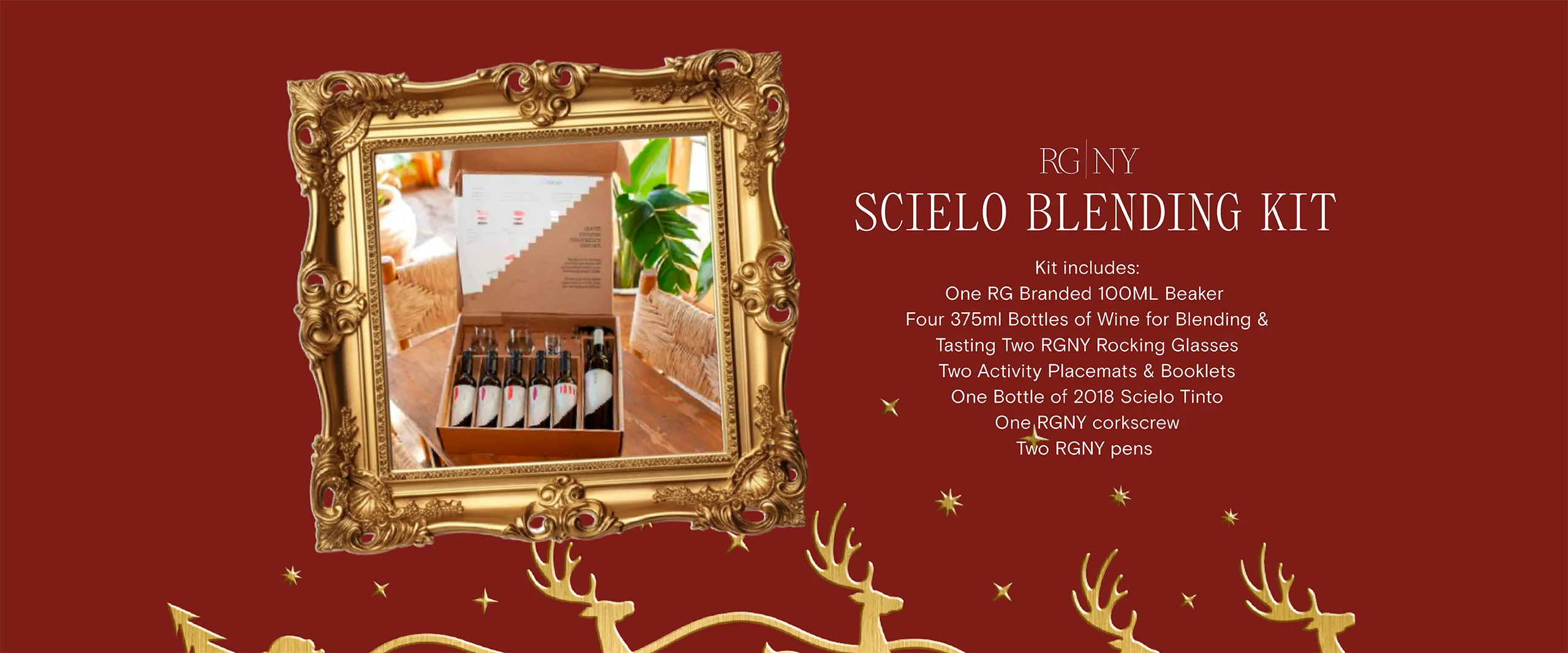 desktop_website_CATÁLOGO_RGNY-6 copy